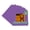 Purple Iris, variant on Pansy Purple Picture Frame Mat for 5x5 Inch Frames - Fits 3x3 Photos - 1 Mat