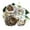 C, variant on asddcavvf 5 Bundles Peony Flowers Rose Home Party Wedding Decorative Roses Bouquet Sunflower Arrangements Flowers Rose Garland with Lights