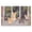 300, variant on Puzzles for Adults 300 Pieces - Adorable Kittens Sitting Window Sill Fun Brain Puzzle Lovers Challenging and Relaxing Gifts Idea