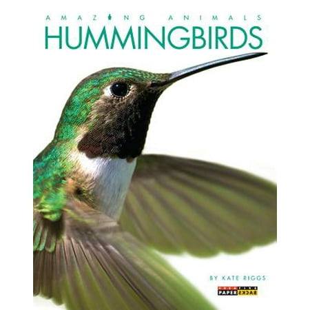 Hummingbirds Animals - Amazing Animals: Hummingbirds