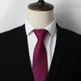 thumbnail image 5 of Corbata flaca para hombre Corbata formal Corbata de seda tejida jacquard texturizada ajustable para ocasiones formales Fiestas de boda B009, 5 of 5
