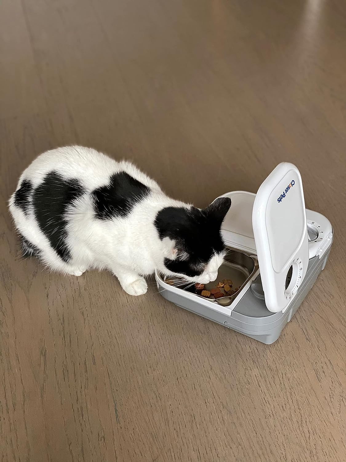 Closer Pets Two-Meal Automatic Pet Feeder – 48-Hour Timer, Dual Stainless-Steel Bowls, Ice Pack for Freshness, Dishwasher-Safe, White