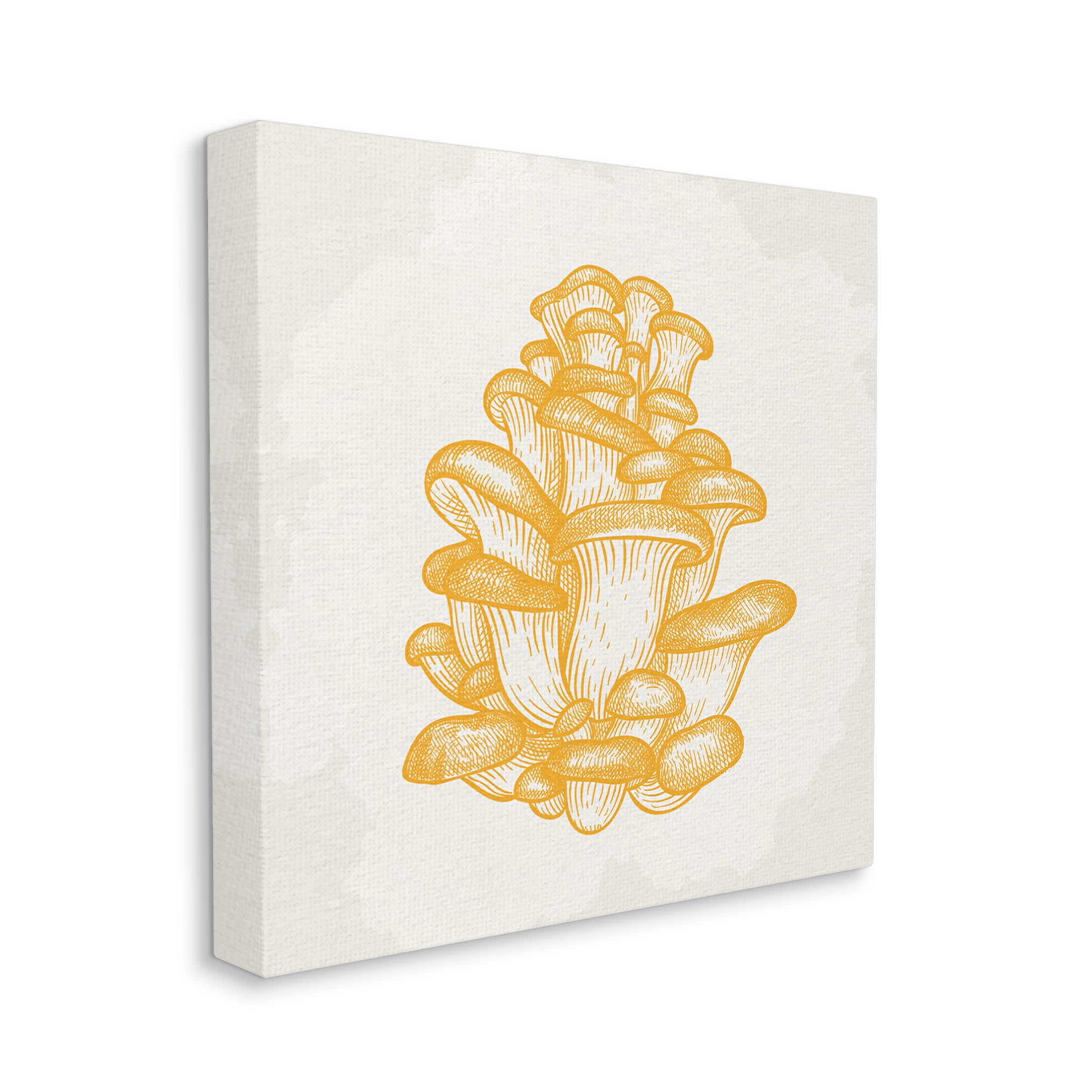 Stupell Industries Intricate Mushroom Forest Botanicals Graphic Art Gallery Wrapped Canvas Print Wall Art, Design by Kim Allen