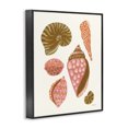 thumbnail image 3 of Stupell Industries Bohemian Tropical Shell Collection Black Framed Giclee Art, 11 x 14, by Yvette St. Amant, 3 of 8