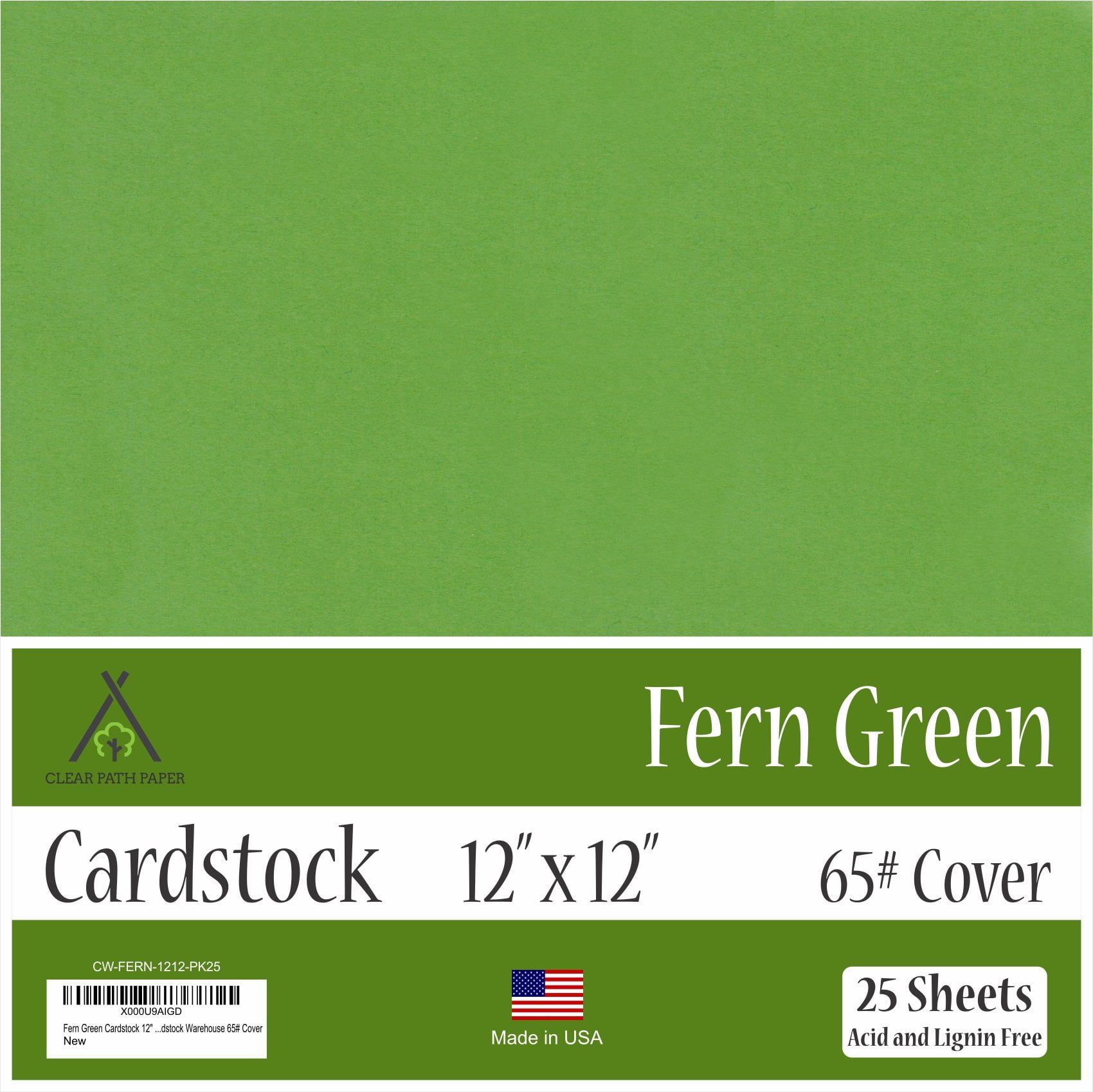 Fern Green Cardstock 12 x 12 inch 65Lb Cover