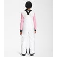thumbnail image 6 of The North Face Teen Freedom Insulated Bib Pant - Youth, 6 of 12