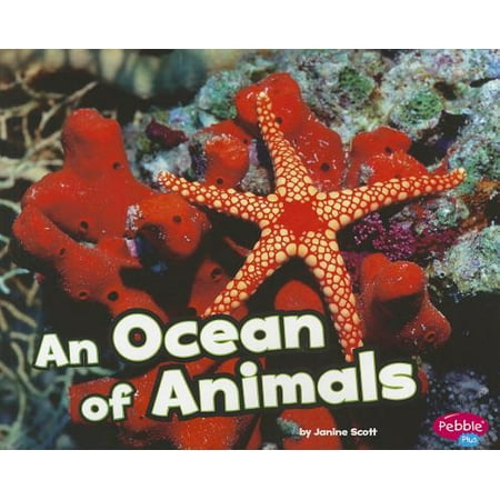 Pebble Plus Habitats Around The World An Ocean Of Animals Paperback Walmart Com