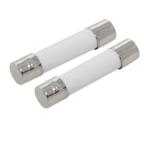 DealEnvy (2 Pack) Microwave Fuse / 20A Amp 250v Fuse, 6mm x 30 mm, Ceramic, SlowBlow