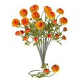 thumbnail image 1 of Tige de Runculus en Soie de 23 Po - Lot de 12 -, 1 of 1