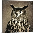 thumbnail image 1 of ARTCANVAS Owl Painting Home decor Canvas Art Print - Size: 12" x 12" (1.50" Deep), 1 of 9