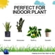 thumbnail image 2 of 1.4L long indoor watering can (blue), bonsai plants, garden flowers, small modern translucent watering can, 2 of 5