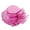 Z01_Hot Pink, variant on Sun Hats for Women Summer Beach Wedding Mesh Hat for Women Wide Brim Sunshade Flower Decoration Dome Cap Z01_Purple,One Size