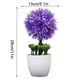 thumbnail image 2 of Planta artificial en maceta, simulación de bolas, vegetación, decoración, oficina en casa, centro de mesa, planta falsa, púrpura Inevent HA7629-01B, 2 of 6