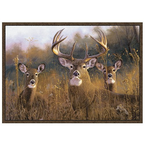 Custom Printed Rugs CR Wildlife Rug - Buck Stops Here Nylon 37''x52''