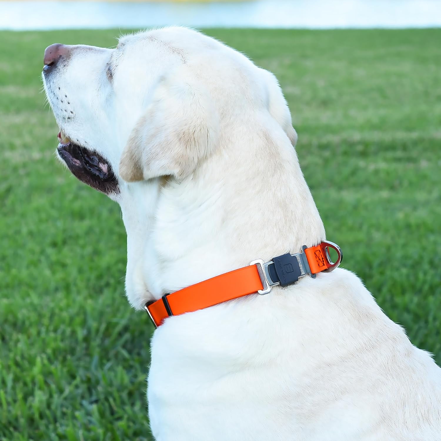 Waterproof Dog Collar with  Stainless Steel Quick Release Buckle – Heavy Duty Tactical Durable Collar for Dogs – Comfortable and Safe Pet Collar W1 L 15-25"