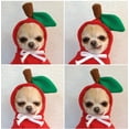 thumbnail image 3 of Cute Fruity Pet Cosplay Outfit for Small, Medium Dogs and Cats from a Manufacturer of Pet Clothing and Accessories, 3 of 3