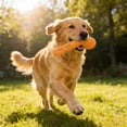 thumbnail image 3 of BotaniNest Chew Indestructible Rubber Toothbrush Chew For Aggressive Chewers Tough Teeth Cleaning Stick For Small Medium And Large Chew For Aggressive Chewers Rubber Teething For Puppies, 3 of 5