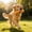 Orange - 13CM, variant on Dog Chew Stick 5.1" Wear Resistant Play Bite Toy Flexible Entertainment Accessory for Small Medium Large Dog Puppy Red