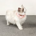 thumbnail image 3 of Collier pour Chat Mode Créative Collier pour Animaux de Compagnie Bib Pet Costume, 3 of 8