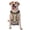 With Accessories, variant on Vsdgher Music Dancing Cat Pattern Dog Harness,No Pull Pet Harness with Soft Padded Handle,Adjustable Reflective Vest with 2 Buckles,4 Slide Buckles,S-XL Medium