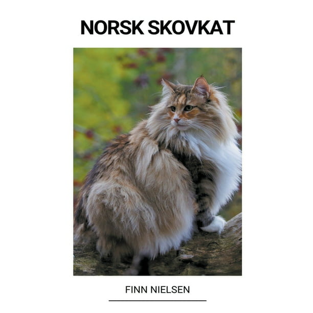 Norsk (Paperback) - Walmart.com