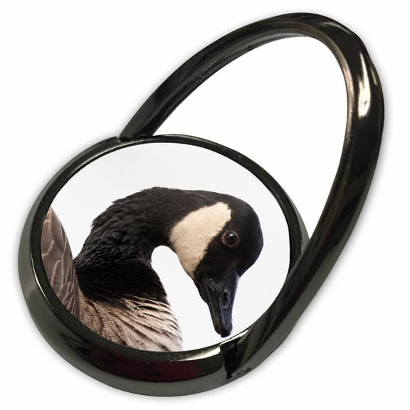3dRose, A Canada Goose (Branta canadensis), bird - NA02 RBR0001 - Rick A. Brown, Phone Ring