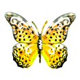 thumbnail image 1 of Promotion!Decoración de pared de mariposa de metal, arte para colgar en la pared, jardín, patio, pared, patio, interior,dormitorio, porche, decoración del día de San Valentín, retro, 1 of 2