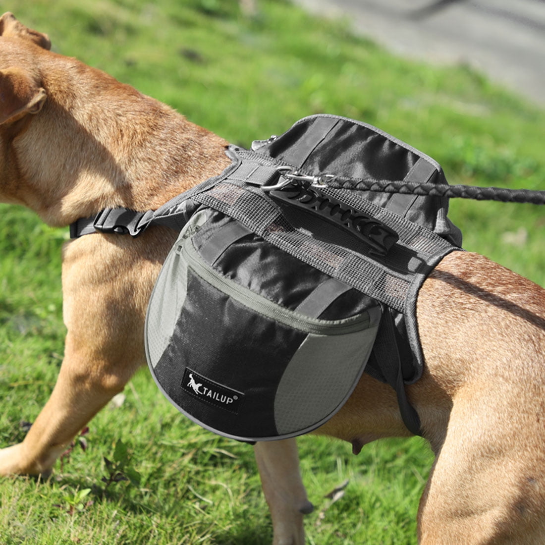 tailup dog backpack