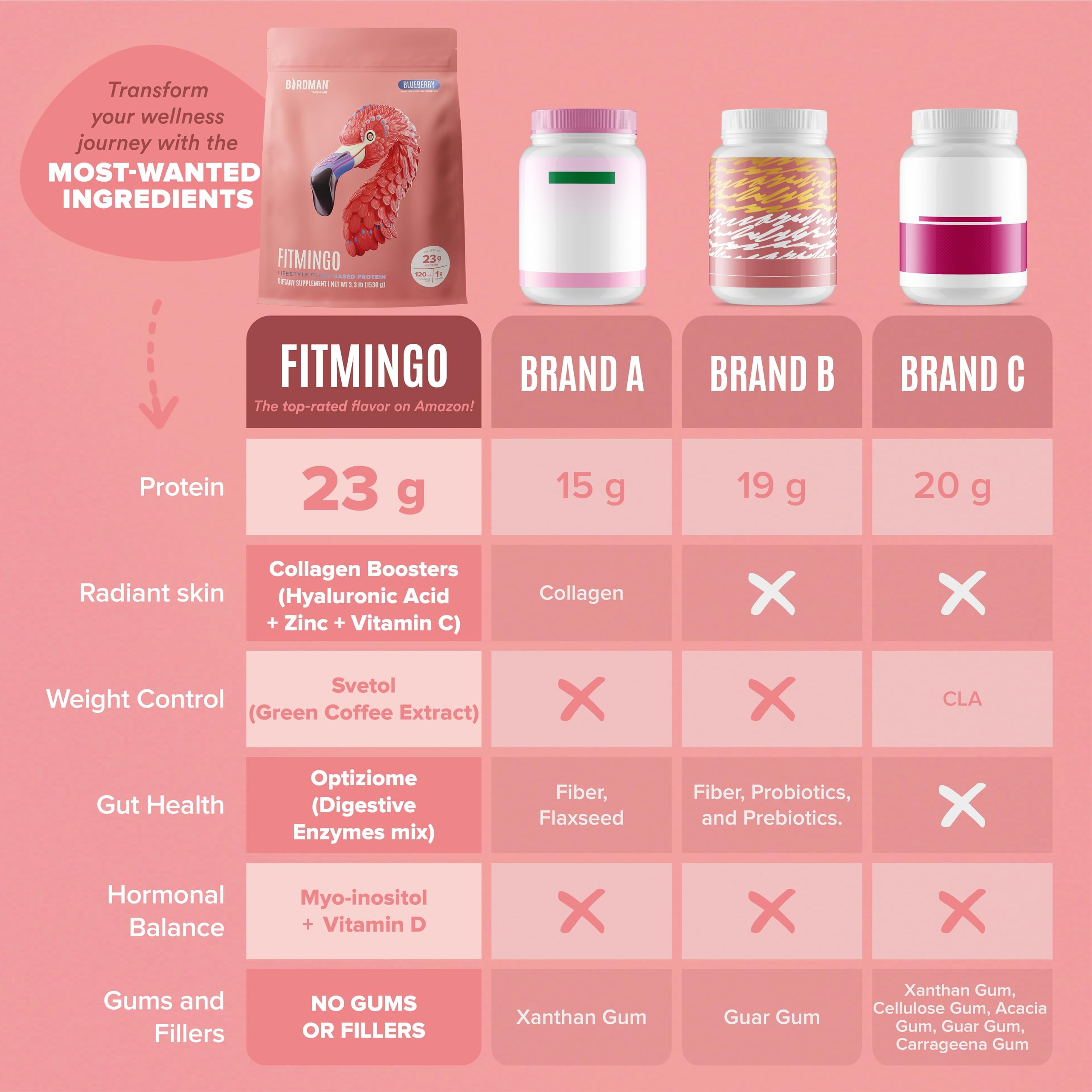 BIRDMAN Fitmingo Vegan Protein Powder with Inositol, 3 Blends, Blueberry, 45 Servings, 3.3lb