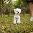 thumbnail image 2 of Dog Harness and Leash Set, No Pull Dog Vest Harness for Walking and Training, Adjustable, Easy Control and Breathable Dog Harness for Small Dogs, 2 of 7
