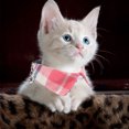 thumbnail image 2 of 1Set Classic Plaid Design Cat Collar Cloth Photo Friendly for Kitten Pet Owners Small Cat Collar With Bell, 2 of 8