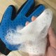 thumbnail image 3 of Cat Gloves Pet Cat Comb Remove Floating Hair Massage Brush, 3 of 3