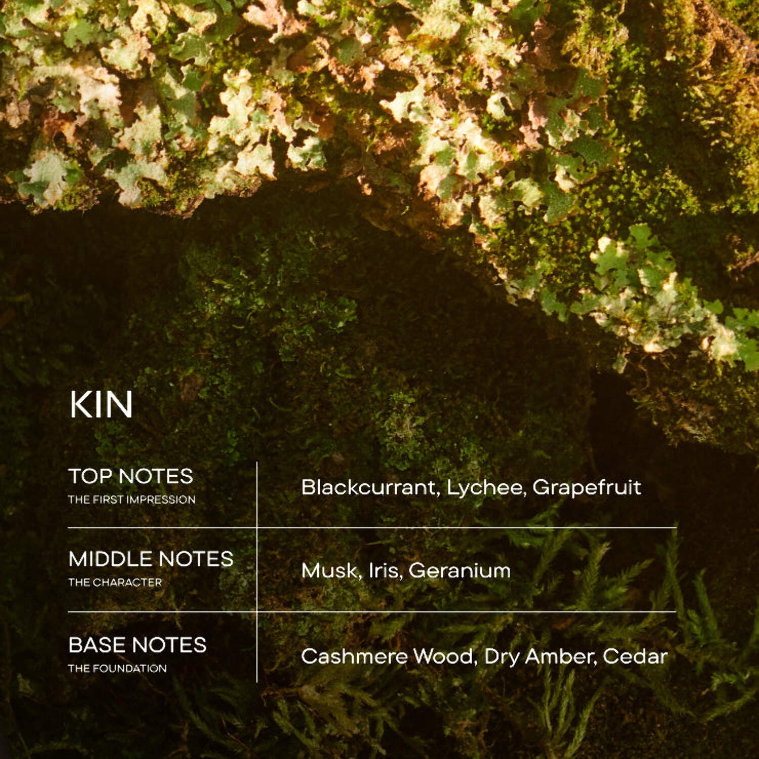 Harry's Kin Men's Cologne - Floral Musk Scent - 1.7 fl oz - Notes of Blackcurrant, Musk & Cashmere Wood