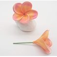 thumbnail image 4 of WOVTE Bunch of 10 PU real Touch Lifelike Artificial Plumeria frangipani Flower Bouquets Wedding Home Party Decoration (Plumeria-10 pcs, Pink&Orange), 4 of 4