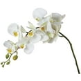 thumbnail image 1 of Tige d'Orchidée Phalénoptique Blanche Fleur Artificielle, 1 of 1
