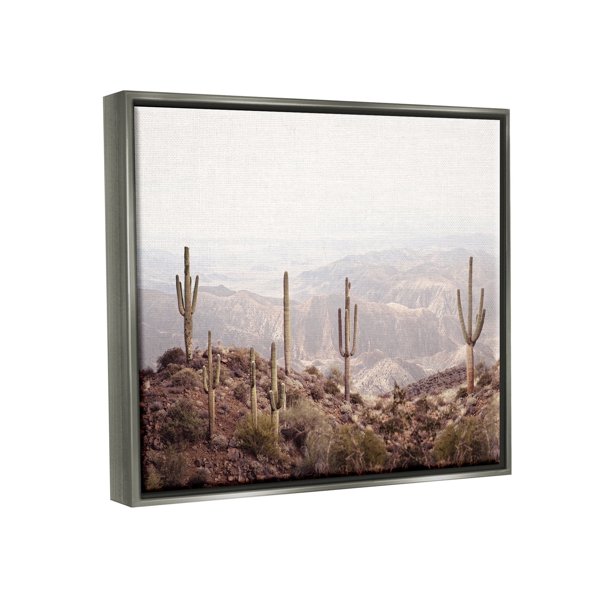 Stupell Industries Cacti Overlooking Desert Nature Photography Gray Floater Framed Art Print Wall Art, 21 x 17