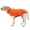 Orange, variant on Fleece Vest Dog Sweater - Warm Pullover Fleece Dog Jacket with Leash Attachment - Winter Small Dog Sweater Coat - Cold Weather Dog Clothes for Small Dogs Boy or Girl
