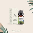 thumbnail image 2 of Aceites Esenciales Vetiver Natural UVa Conjunto de Difusores y Humidificadores Aromaterapia 10 ML, 2 of 6