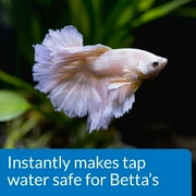 API Betta Water Conditioner, Betta Fish Freshwater Aquarium Water Conditioner, 1.7 oz