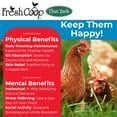 thumbnail image 5 of Progressive Planet Fresh Coop Dust Bath, 6lb Jug - Food-Grade Diatomaceous Earth & Calcium Montmorillonite Clay - Supports Healthy Feathers, Reduces Boredom & Encourages Natural Dust Bathing, 5 of 6