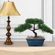thumbnail image 4 of Árbol Bonsái Artificial de Enebro con Maceta Cerámica Azul, 4 of 6