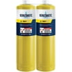Bernzomatic 14 oz Propane Cylinder (1 Pack) - Walmart.com