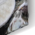 thumbnail image 3 of Epic Art 'Crescent Beach Shells 11' by Alan Blaustein Acrylic Glass Wall Art, 36"x24", 3 of 8