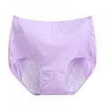 thumbnail image 1 of Women Panties,Lengthen Briefs,Cotton Briefs,High Waist Briefs,Female Menstrual Period Leak Proof Panties,Physiological Nursing Panties, 1 of 1