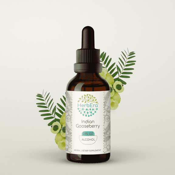 HerbEra Indian Gooseberry Tincture, Herbal Dietary Supplement for Antioxidant Support, Indian Gooseberry (Emblica officinalis) Dried Fruit Extract, Natural, Alcohol Tincture, Drops 2 oz
