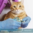 thumbnail image 4 of Cuchillo para uñas de gato - Blanco Azul (Regular) para perros y gatos, 4 of 6