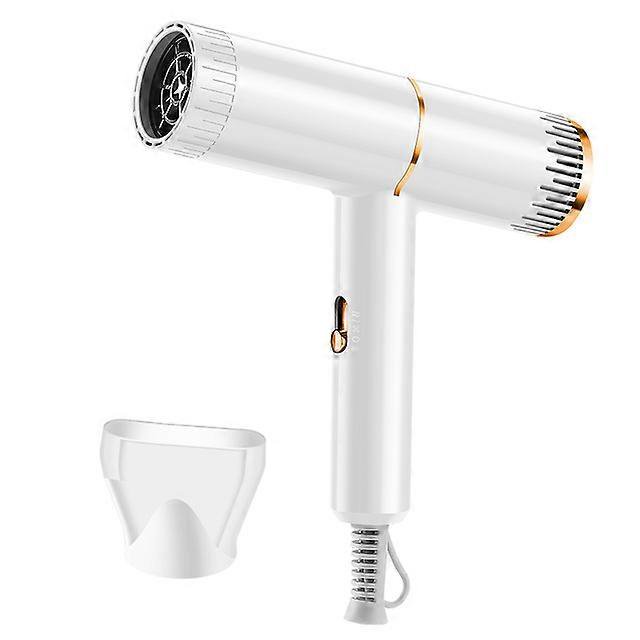 Secador de pelo Calefacción y refrigeración doméstica Secador de pelo Electrodomésticos de alta potencia Luz azul Anión antiestático Herramientas de modelado, Blanco