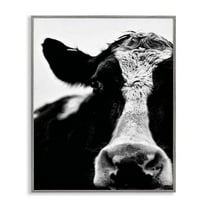 Stupell Industries Cow Black And White Close Up Photography Gray Framed Art Print Wall Art, 24x30, by Lettered and Lined