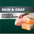 Iams Advanced Health Skin & Coat Chicken And Salmon Recipe Adult Dry