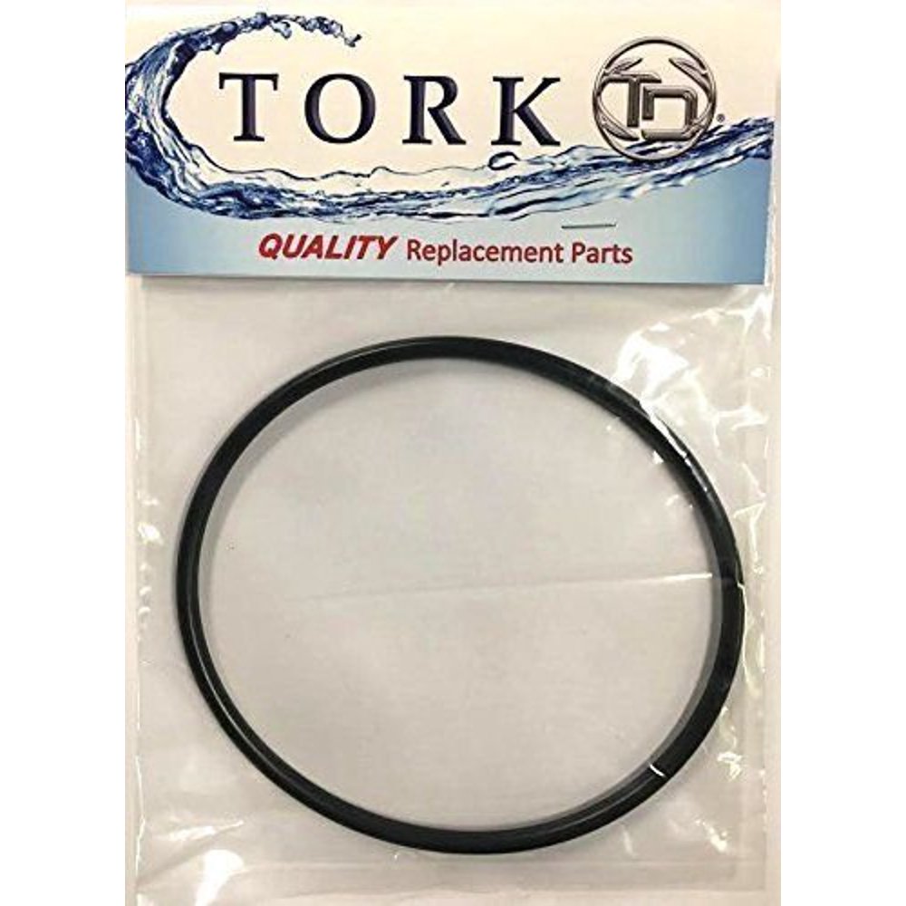 Hayward VITON CLX200K Pool Chlorinator Lid ORing